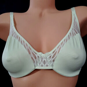 Vintage LILY OF FRANCE Smooth Bra SEAFOAM GREEN Support Underwire 34C